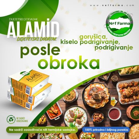 WhatsApp Image 2026-03-30 at 11.23.48